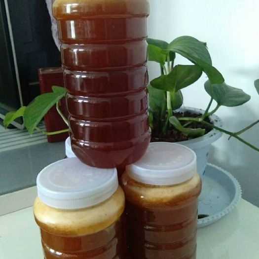 凤县土蜂蜜 塑料瓶装  2年 