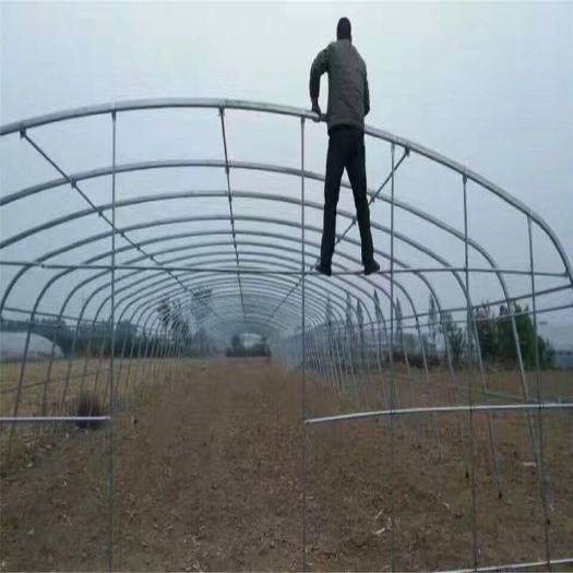 沭阳县种植大棚 