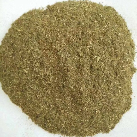 巨鹿县菊花粕  猪料，水产料，兔料，牛羊料，