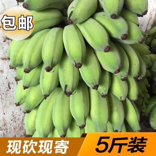 南宁粉蕉 七成熟 