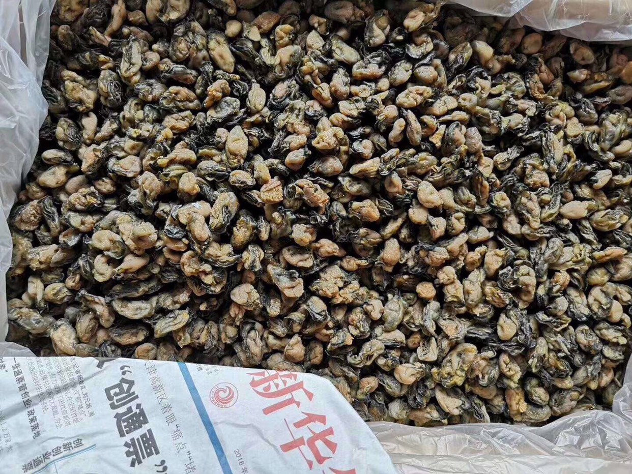 惠安县牡蛎干  补锌王 福建特产干货500g