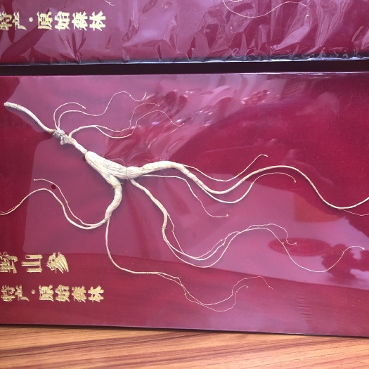 抚松县人参 全须生晒参 