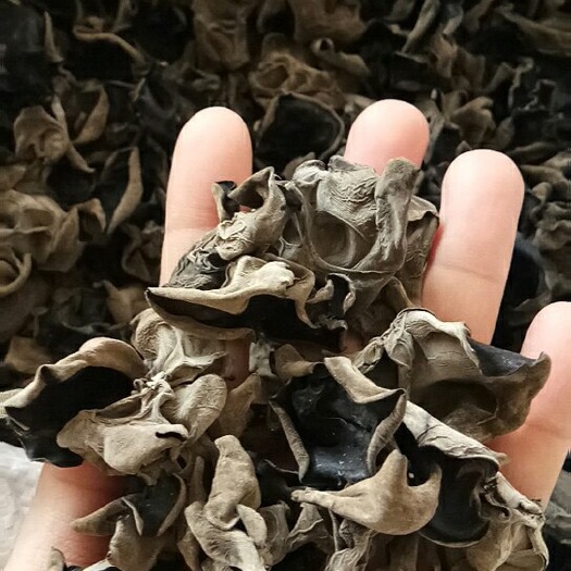 海林市黑木耳  原木耳，不打水，大棚菜，大地菜，各种规格，品种，咨询后下单