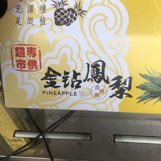 海口凤梨 2.5 - 3斤