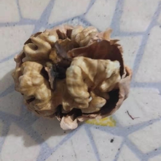 迁安市 薄皮核桃