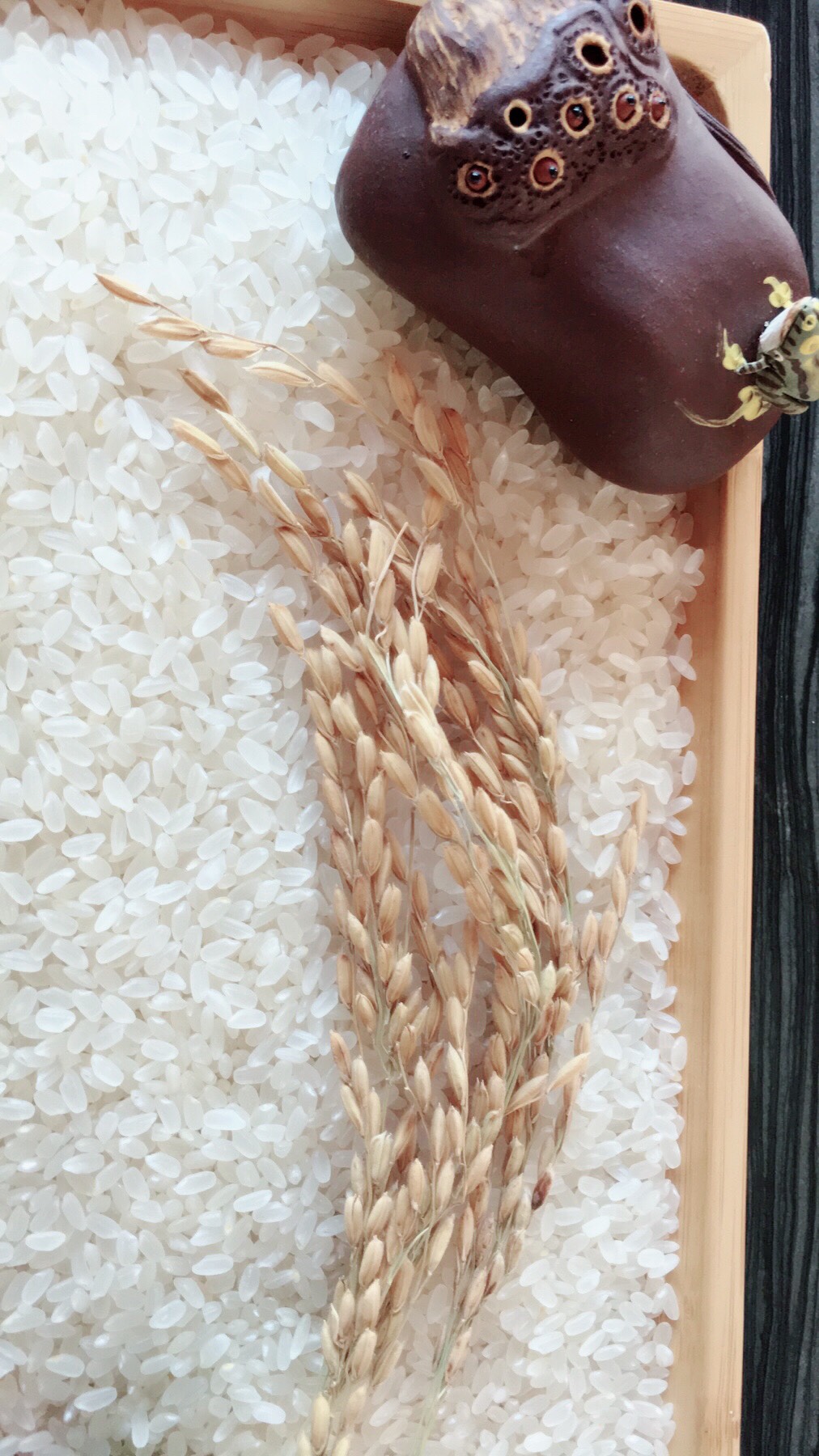 长粒香大米 一等品 粳米 一季稻