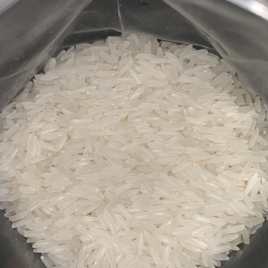 广州柬埔寨香米 一等品 早稻 籼米 