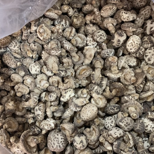 南宁花菇干 箱装 1年以上 