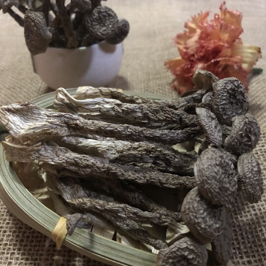 東莞市野生鹿茸菌 箱裝 1年 