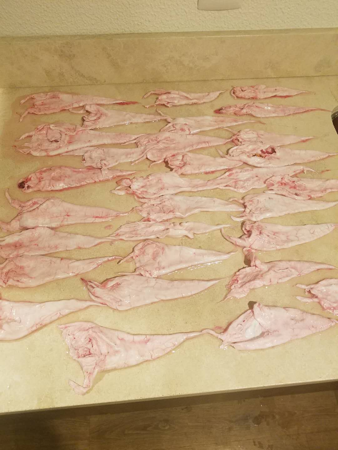福州鱼胶 