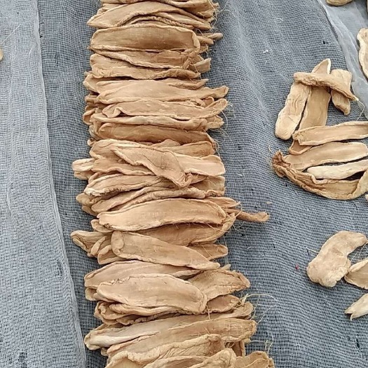 惠来县菜头干 3-6个月 