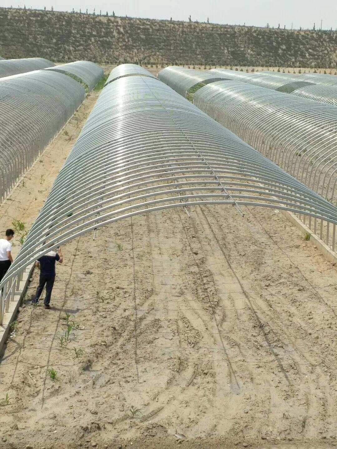 钢管大棚