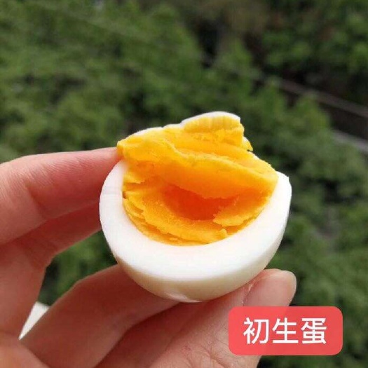 淮安初生蛋 简包装 食用 