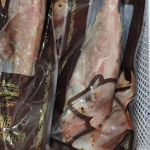 鲑鱼 