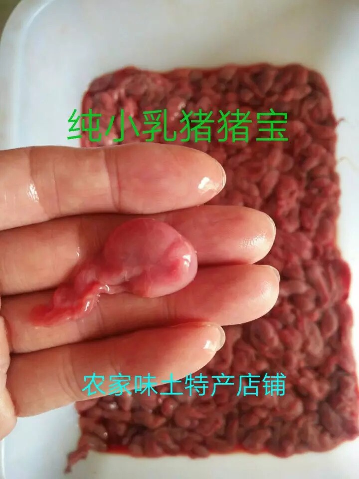 猪卵子 猪宝 猪腰 现抠现卖