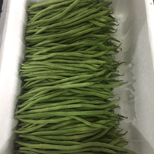 芒市架豆王豆角 40cm以下 