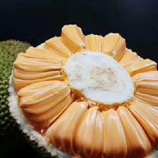 南宁红肉菠萝蜜 10斤以下 一件代发