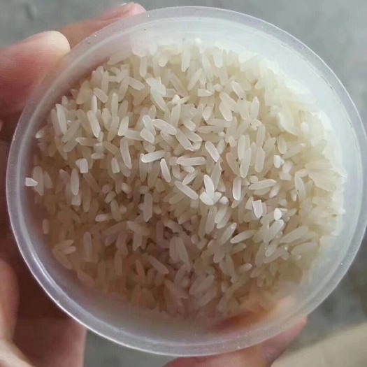 广州有机米 一等品 晚稻 粳米 