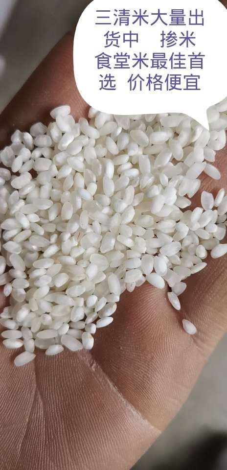 怀远县珍珠米  20年新米，梗米三青大量有货，食堂，兑米。