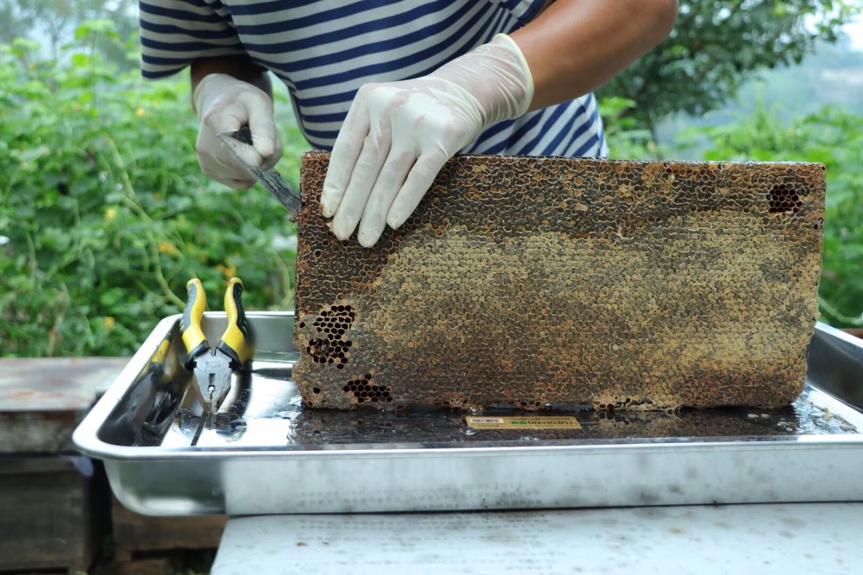 巢蜜  2年以上 盒装  老蜂巢蜜鼻炎咽炎克星