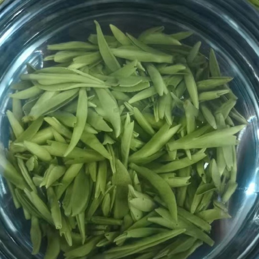 雅安竹叶青茶 一级 罐装