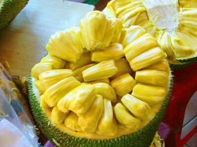 海口海南菠萝蜜 15斤以上 