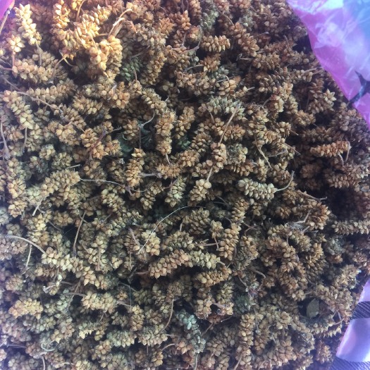 如皋市桑葚干