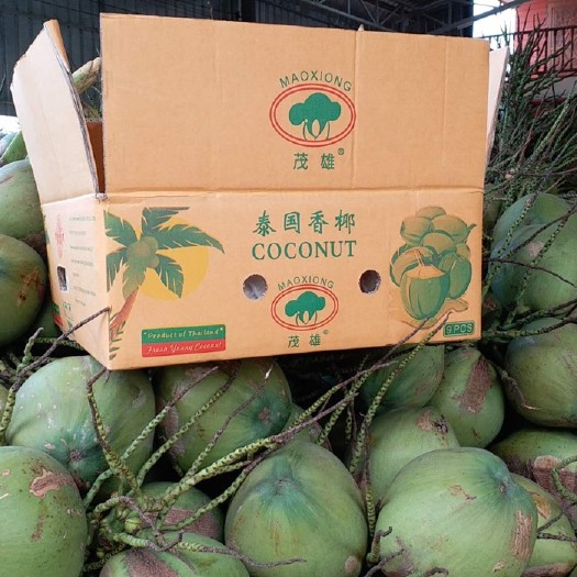 深圳泰国香水椰 2 - 2.5斤 