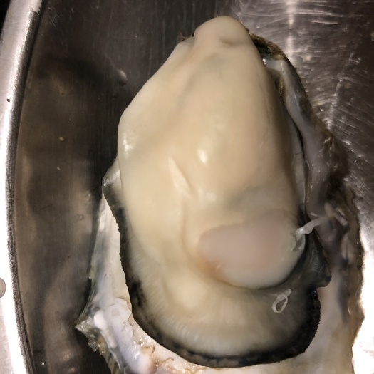 荣成市乳山牡蛎 1-2两/只 人工养殖 
