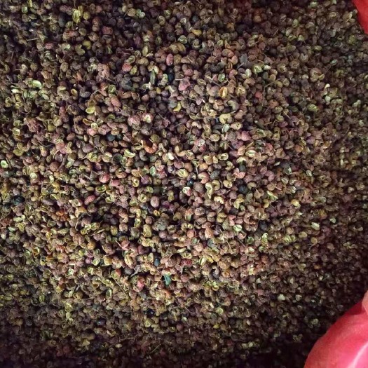 滕州市山东花椒 一级 干花椒