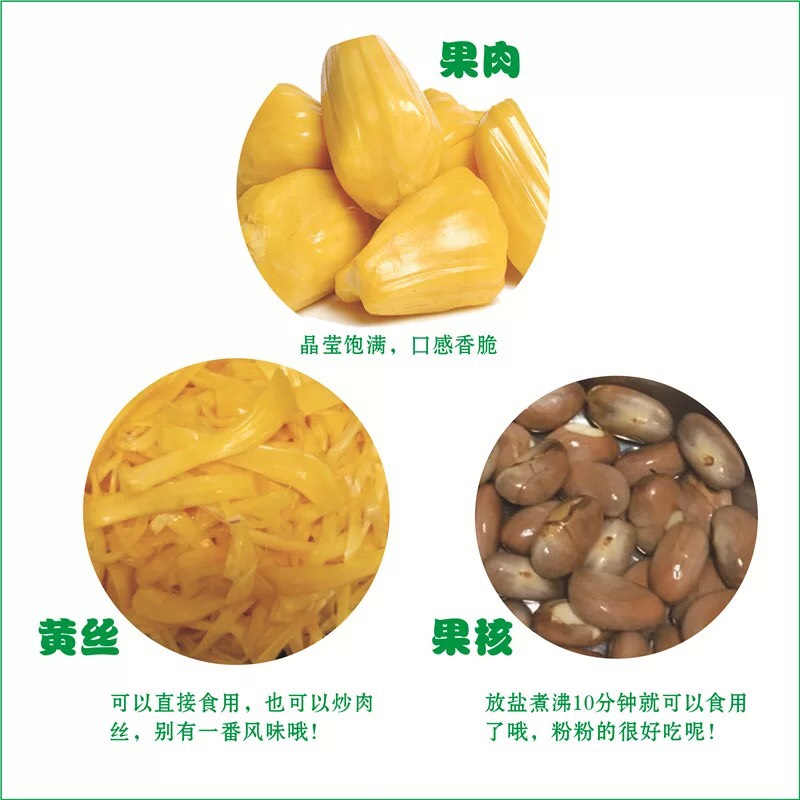  十万斤菠萝蜜大果促销30斤