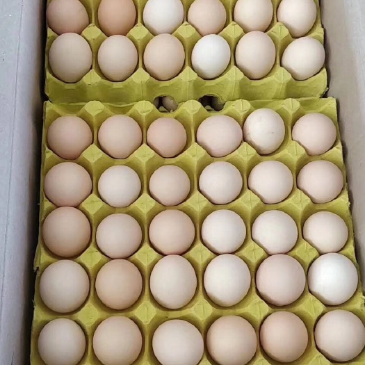 南京土鸡蛋 箱装 食用 