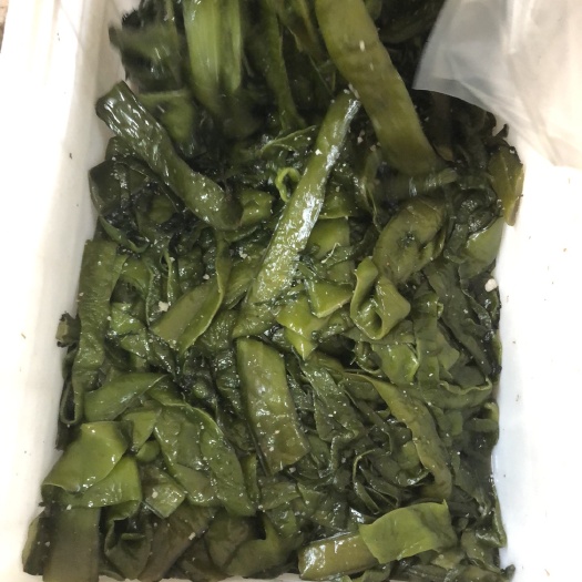 荣成市裙带菜 