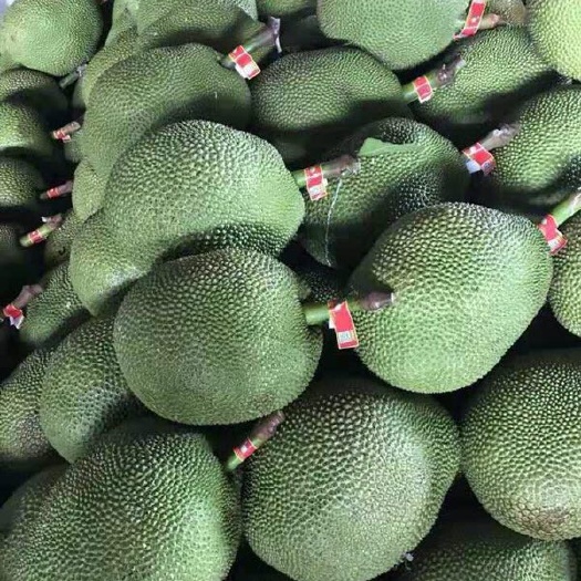 凭祥市泰国菠萝蜜 15斤以上 