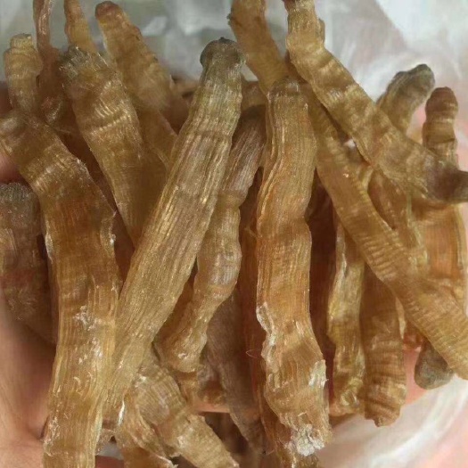 海口沙虫干 