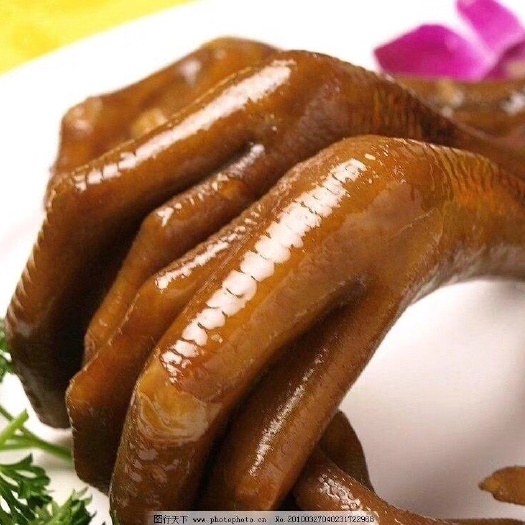 广州狮头鹅 8-10斤 全散养 公 