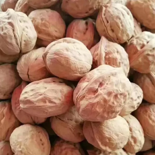 凤凰县新疆核桃 