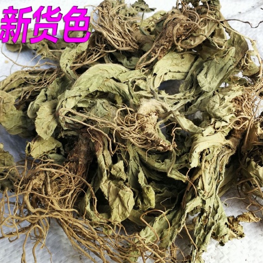 玉林地胆草 