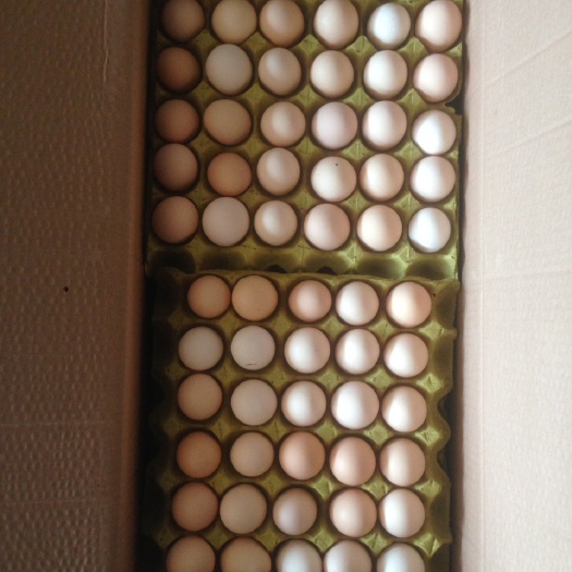 常山县土鸡蛋 箱装 食用 