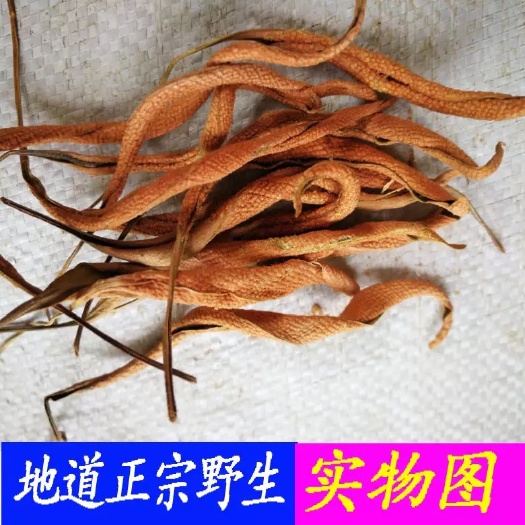 玉林石韦 