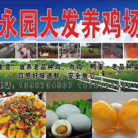 保山盐皮蛋 