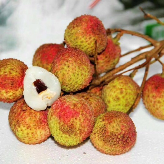 灵山县妃子笑荔枝苗 