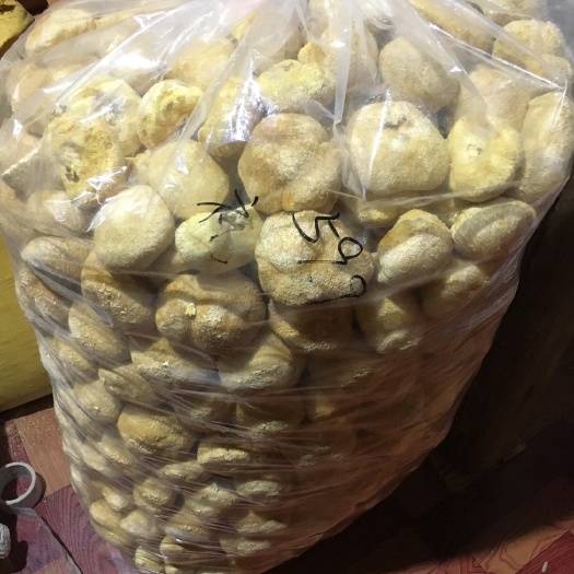 古田县干猴头菇  猴头菇250g袋装