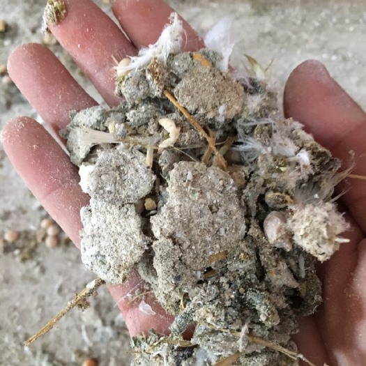 开平市果树专用肥 