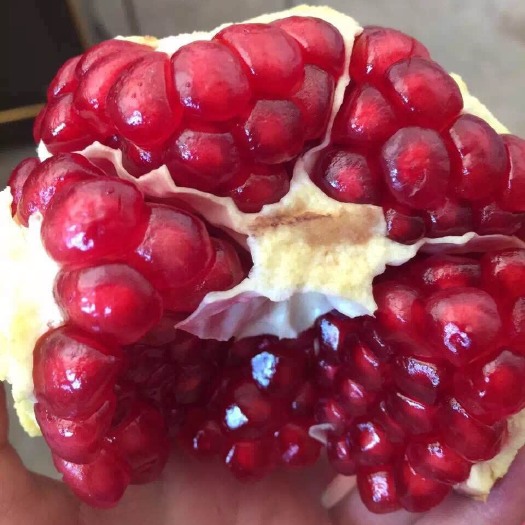 昆明 云南石榴