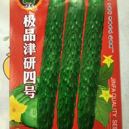 上海黄瓜子 优质黄瓜种子