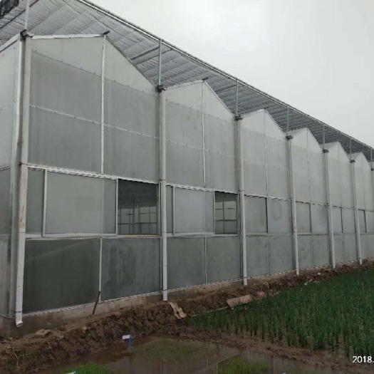 睢宁县文洛式温室大棚 