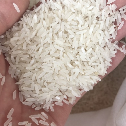 广宁县富硒大米 一等品 晚稻 粳米 