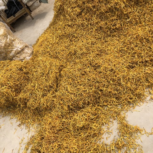 方城县干黄花菜 6-12个月 