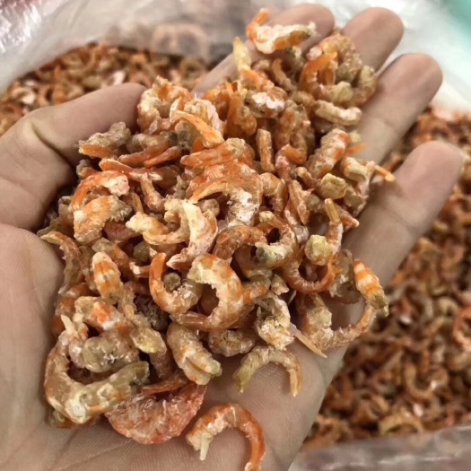 烟台海米 
